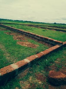 1200 sq. ft. Residential Land / Plot for Sale in Janla, Bhubaneswar